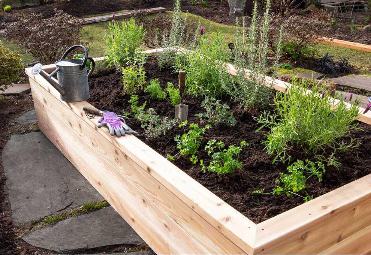 Building a Raised Garden Bed