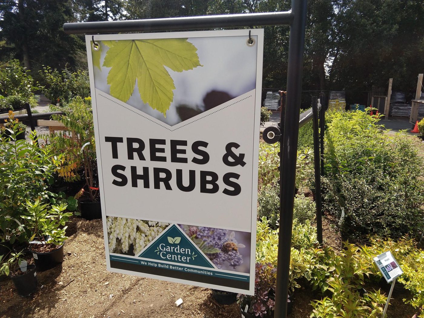 Trees and Shrubs